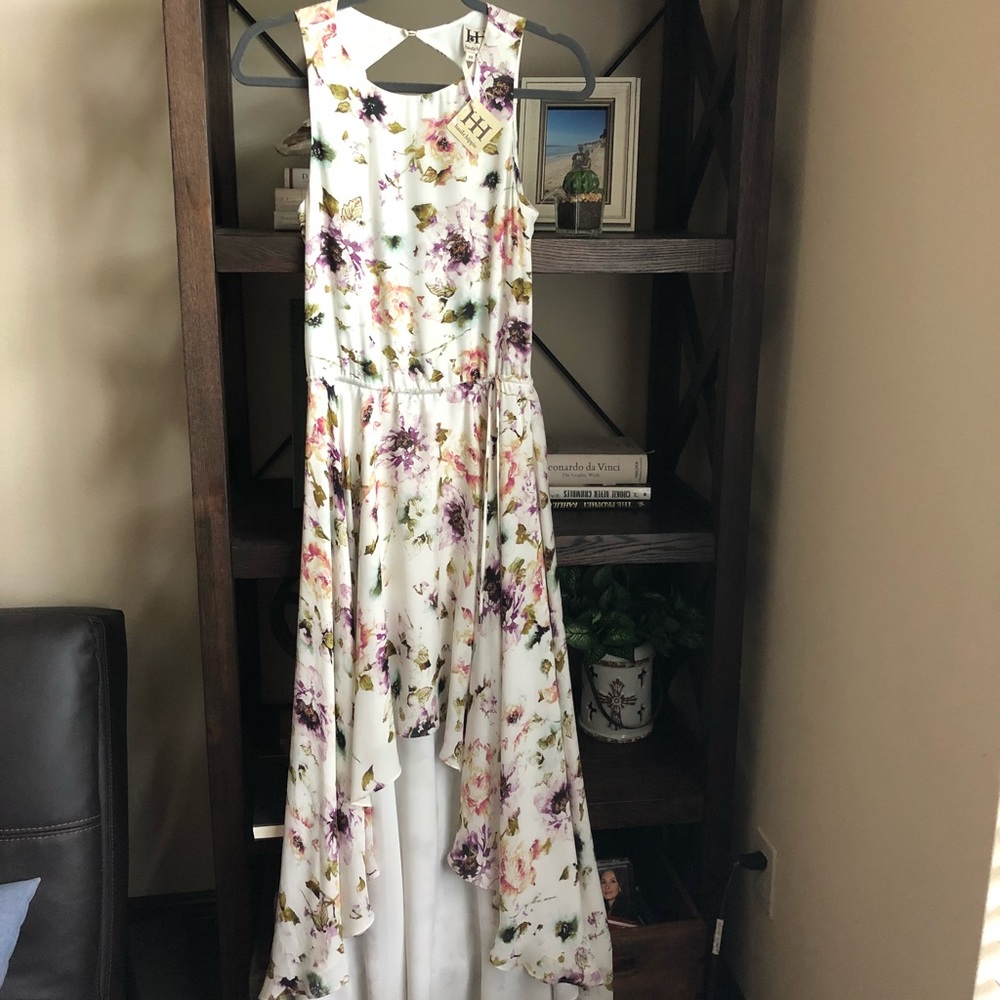 Haute Hippie floral print silk dress size xs